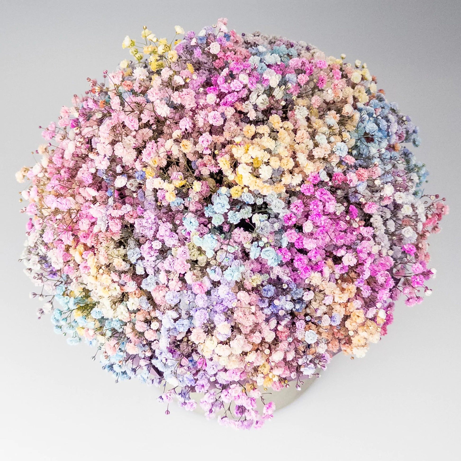 Colorful Gypsophila Flower Box – Velvet Hat Box | Bambi