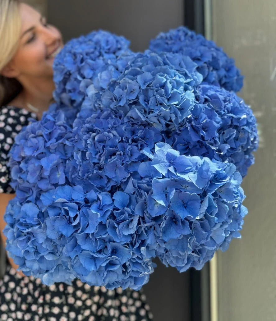 Blue Hydrangea Bouquet – Elegant Monofloral Arrangement | Bambi
