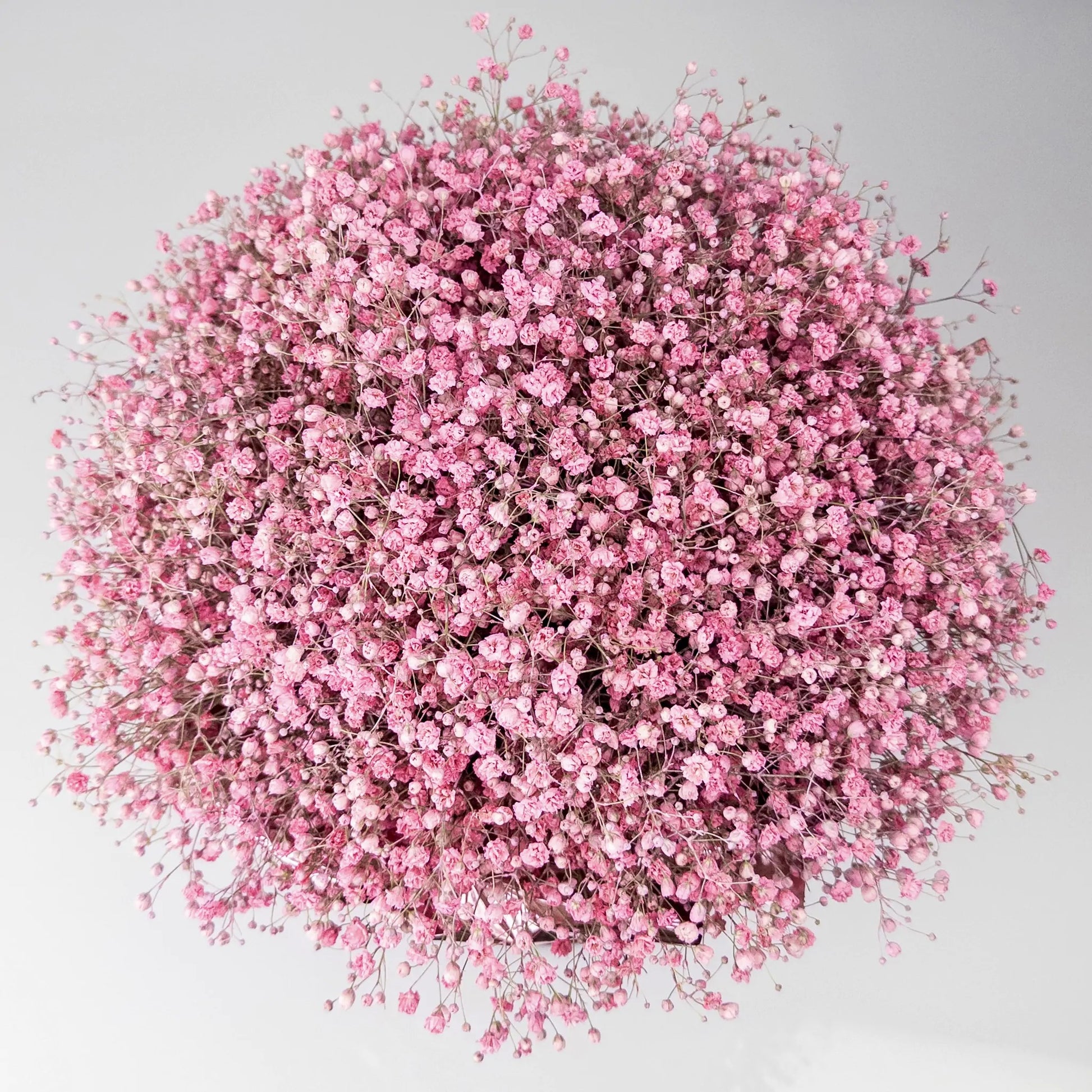 Pink Gypsophila Flower Box – Velvet Hat Box | Bambi