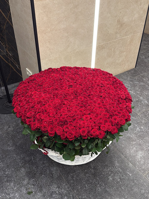 1001 Standard Red Roses Basket Dubai | Luxury 1001-Stem Grand Arrangement | 4-Hour Delivery – Bambi