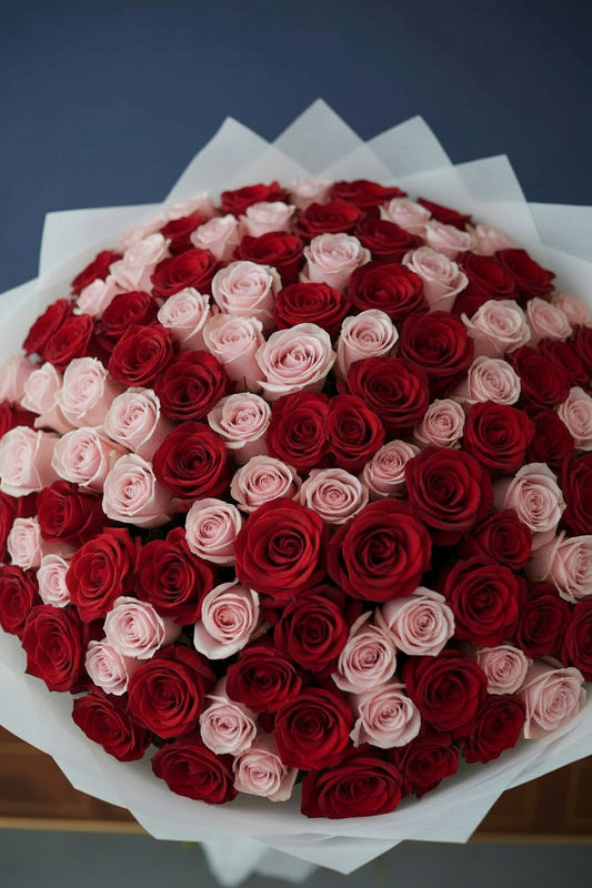 Luxury bouquet of 150 red and pink roses in white wrapping