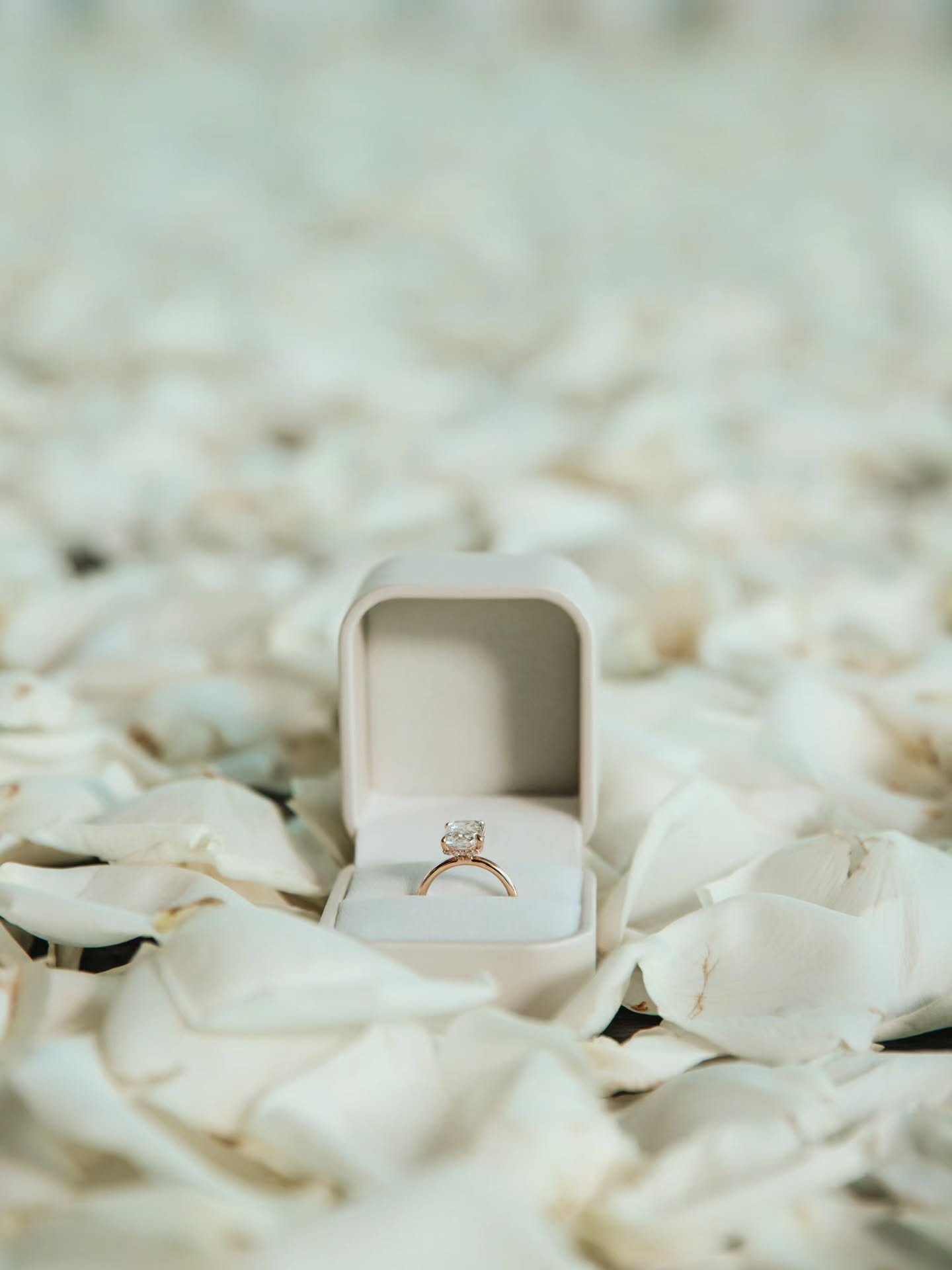 White Candles & Petals Proposal