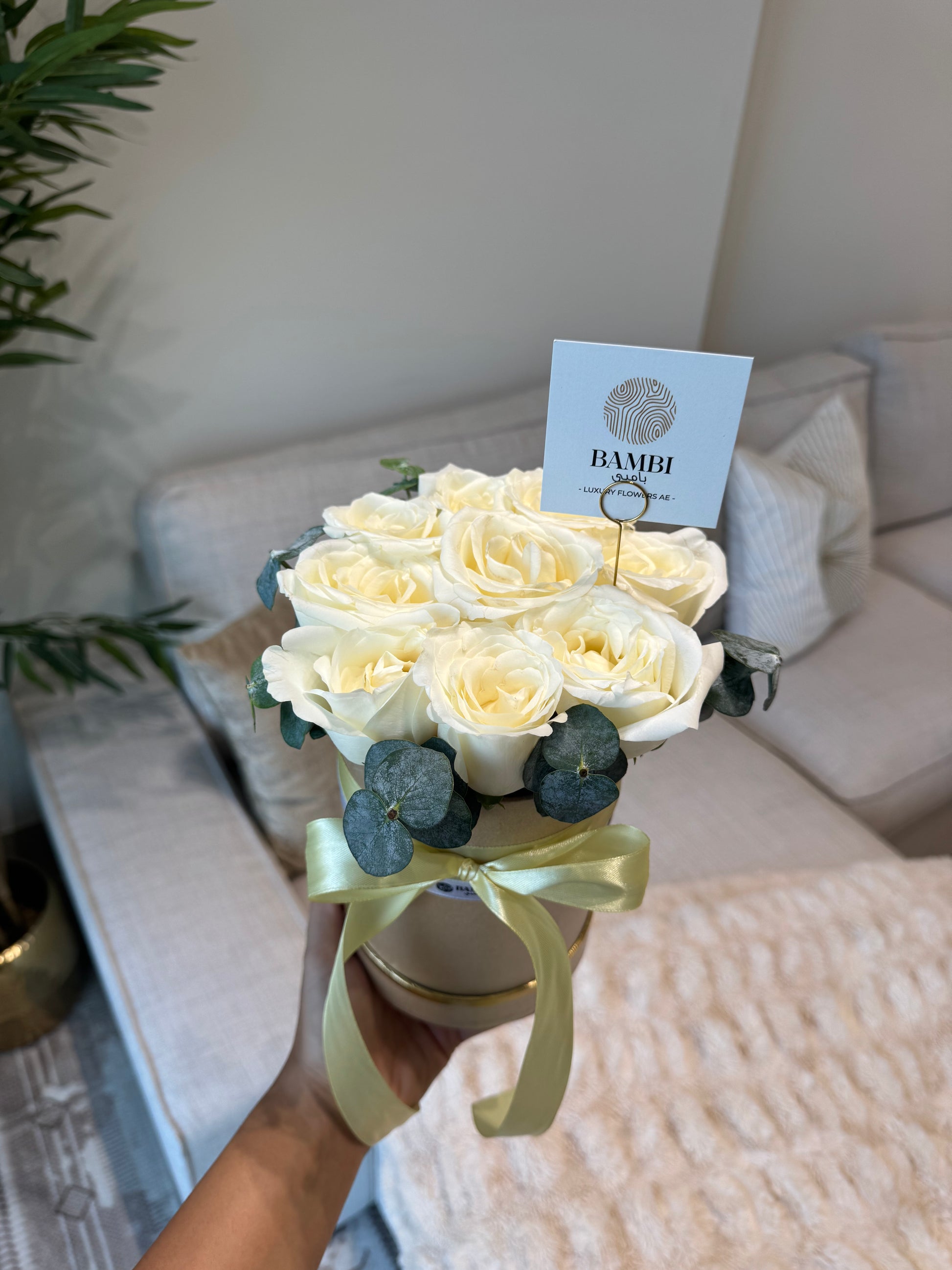 Aurora - 9 White Roses and Eucalyptus Hat Box - Bambi