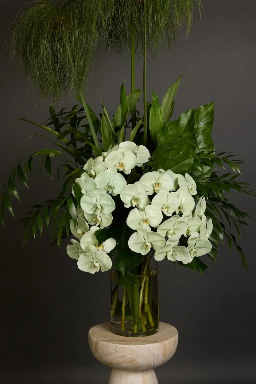 Green Orchid Vase Arrangement Dubai by Bambi - Bambi