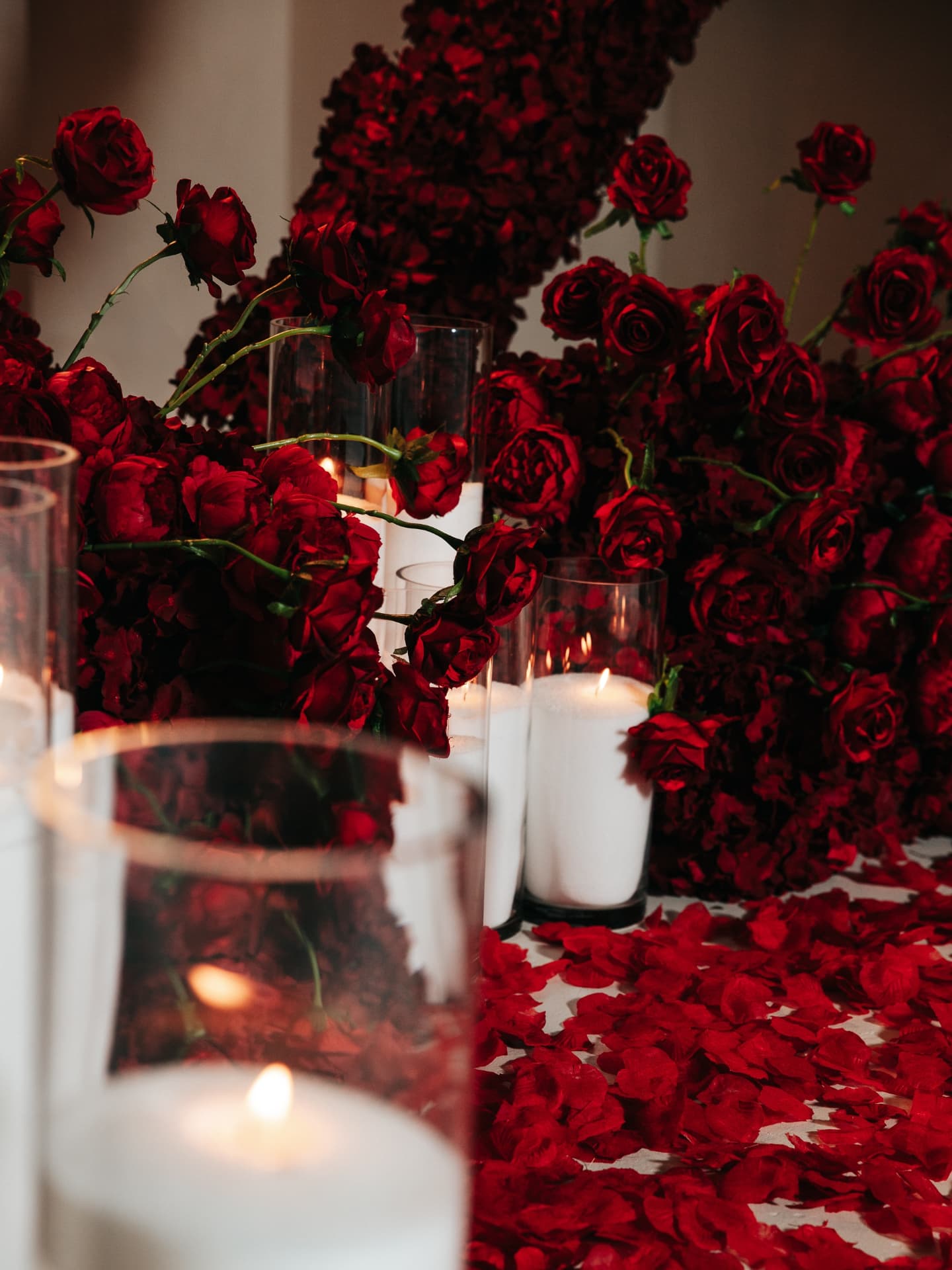 Will you Marry Me? Red Roses Proposal