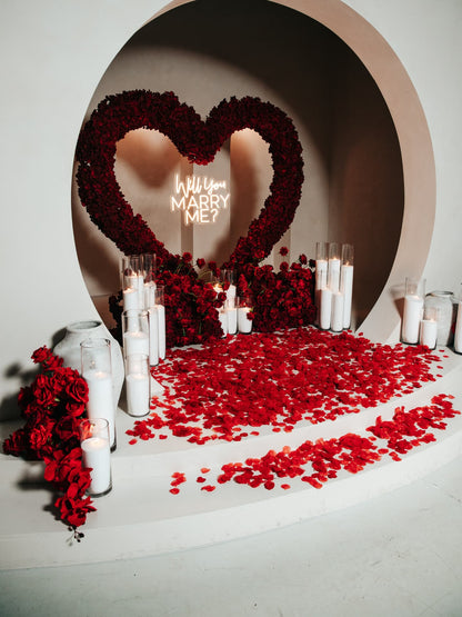 Will you Marry Me? Red Roses Proposal