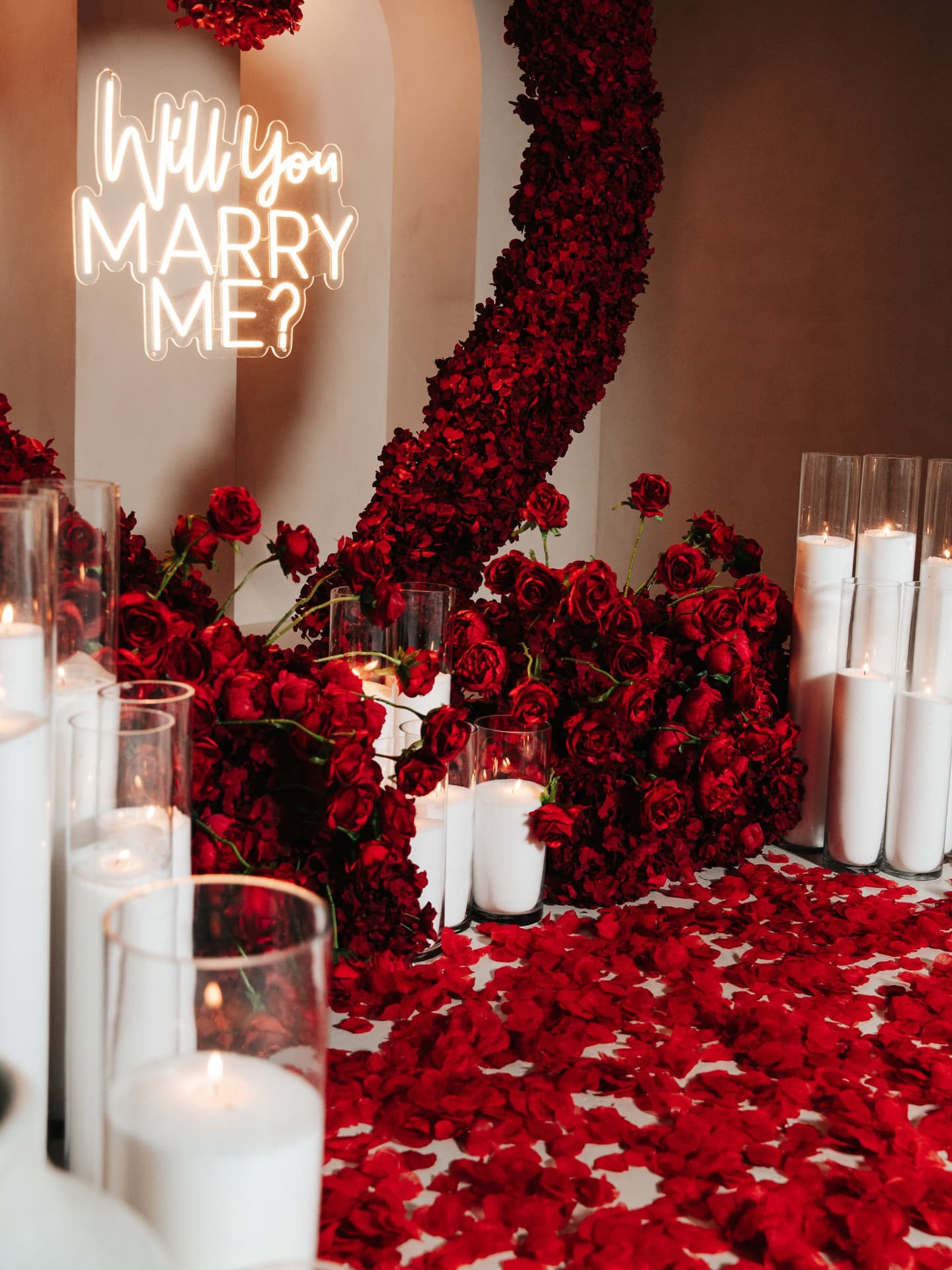 Will you Marry Me? Red Roses Proposal