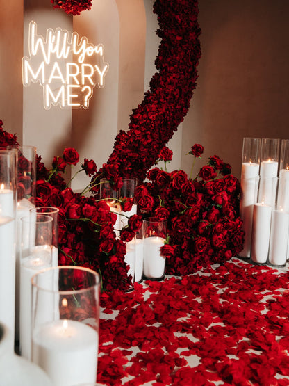 Will you Marry Me? Red Roses Proposal