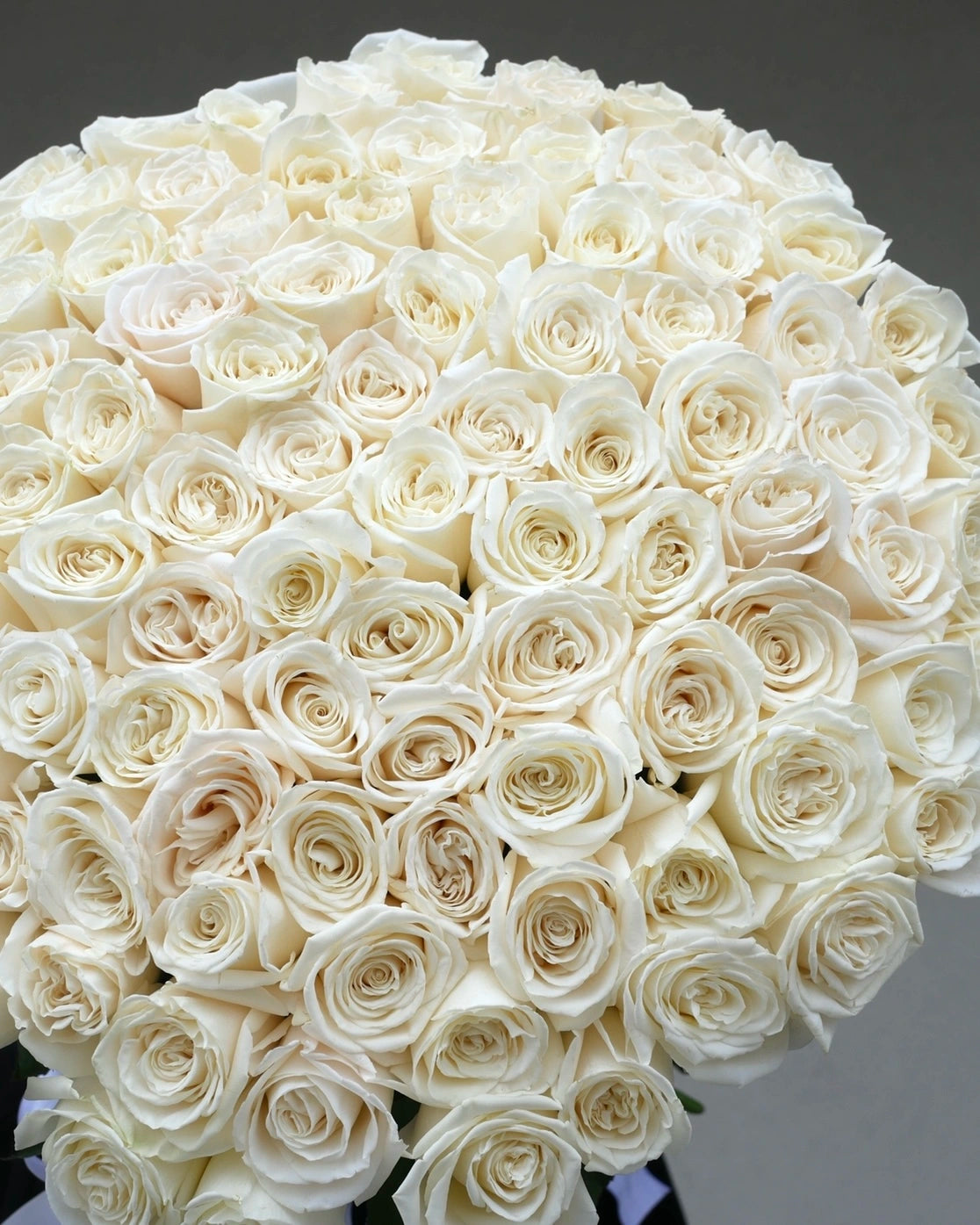 Rose - 100 Luxury White Roses - Bambi
