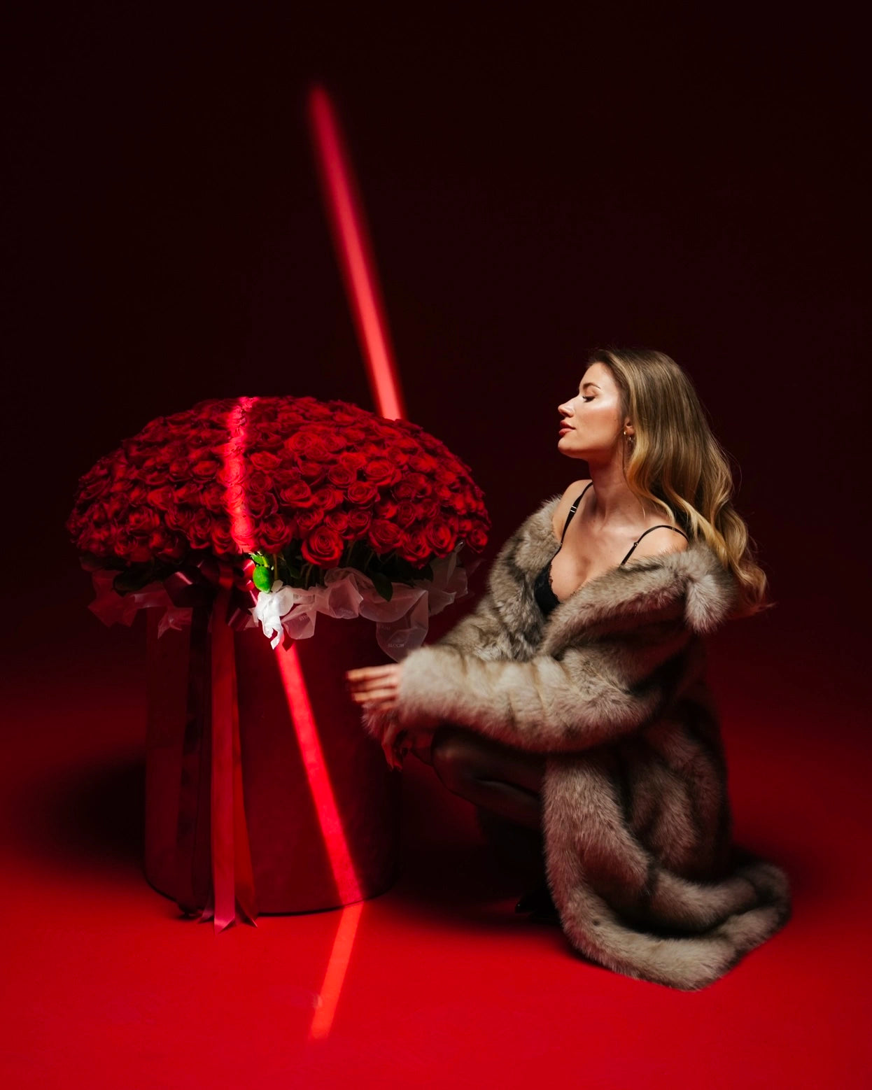 Scarlet - Box Luxury Red Roses - Bambi