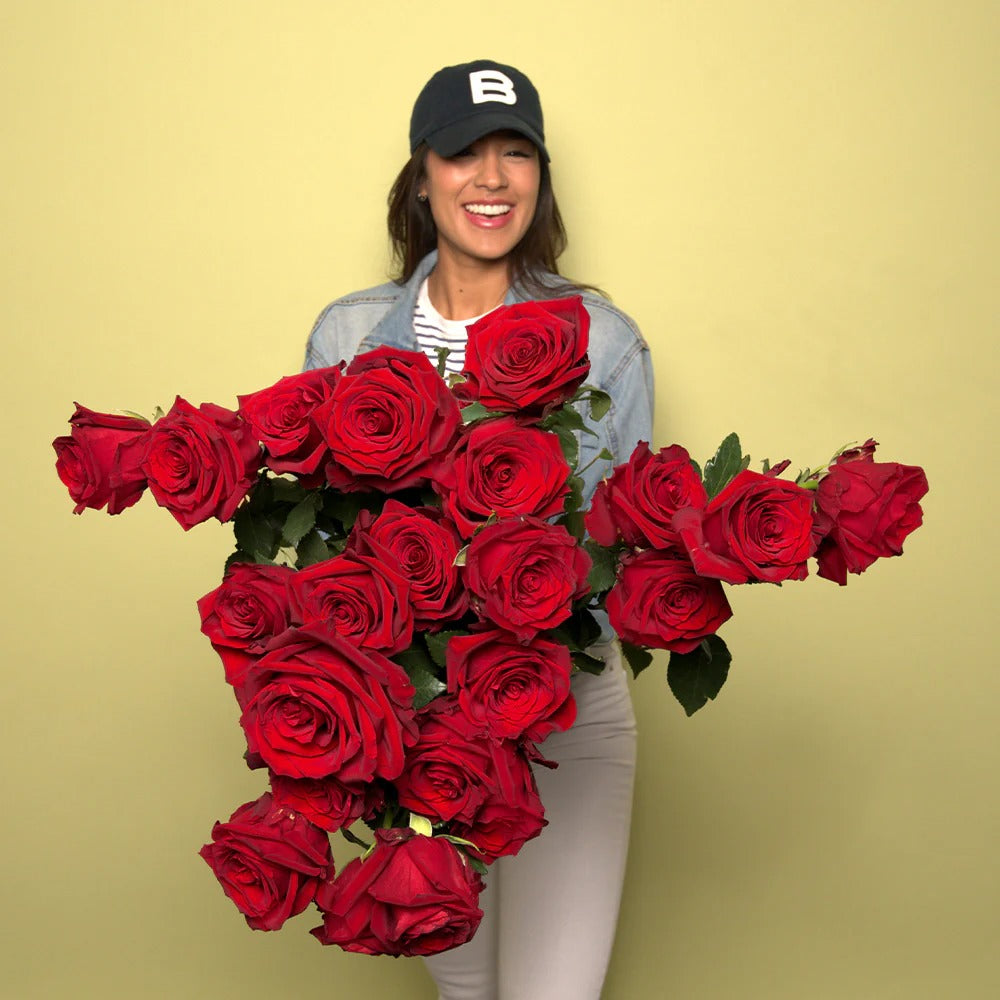 20 Red Roses Dubai – Romantic Dome Bouquet, Same Day Flower Delivery | Bambi