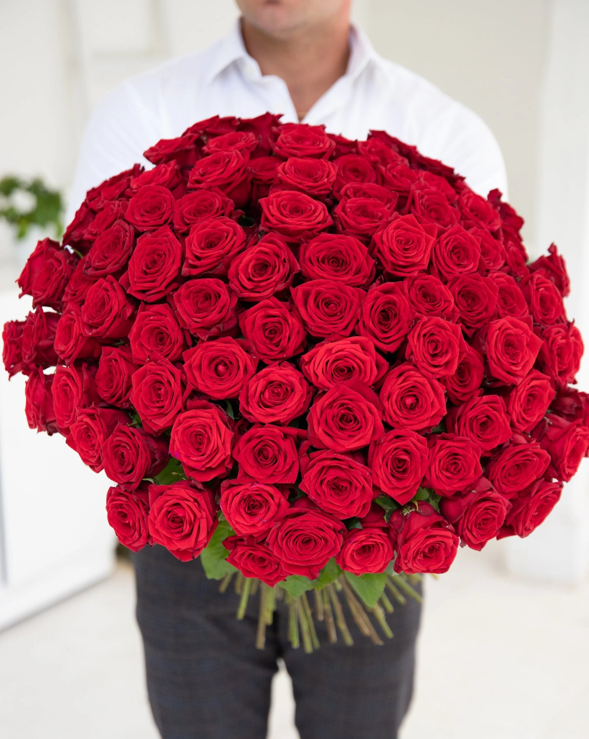 150 Red Roses Dubai – Premium Luxury Bouquet, Same Day Delivery | Bambi