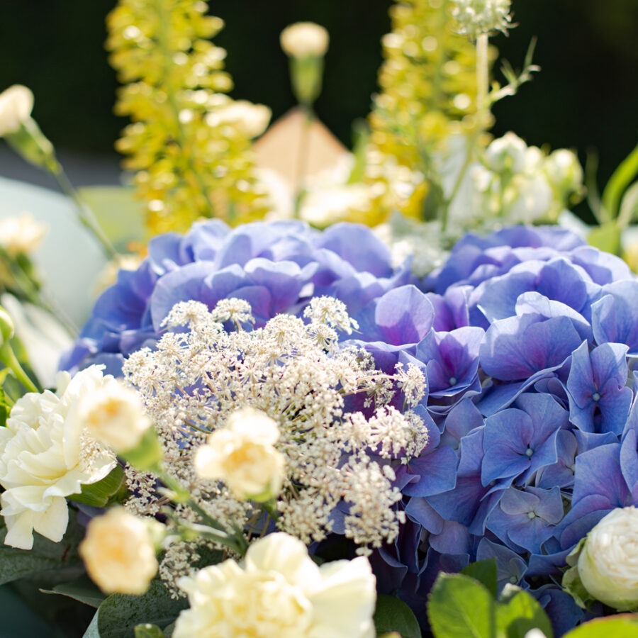 Hydrangea and Carnations Creme Blue Bouquet – Elegant Hand-Tied | Bambi