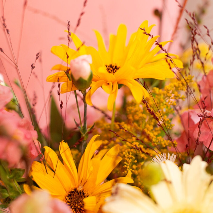 Sunflowers & Gerberas Bouquet – Elegant Hand-Tied Bouquet | Bambi