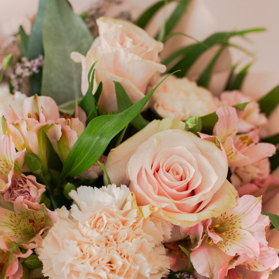Carnations & Alstroemeria Bouquet – Elegant Hand-Tied Bouquet | Bambi