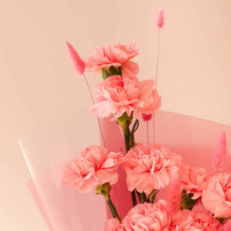 Pink Carnations Bouquet – Elegant Pink Wrap | Bambi