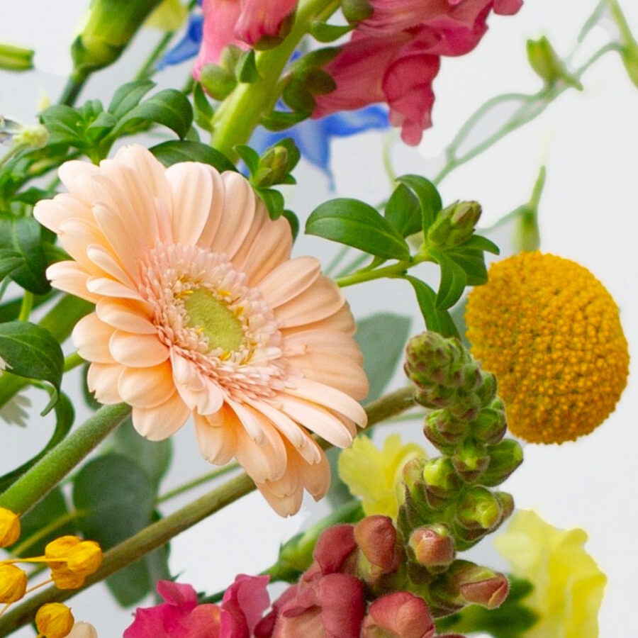 Santorini Bouquet – Gerberas & Snapdragons | Bambi