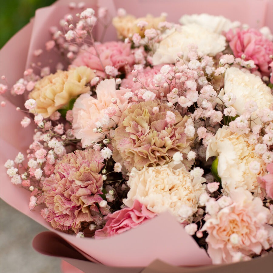 Carnations & Baby’s Breath Bouquet – Elegant Hand-Tied Bouquet | Bambi
