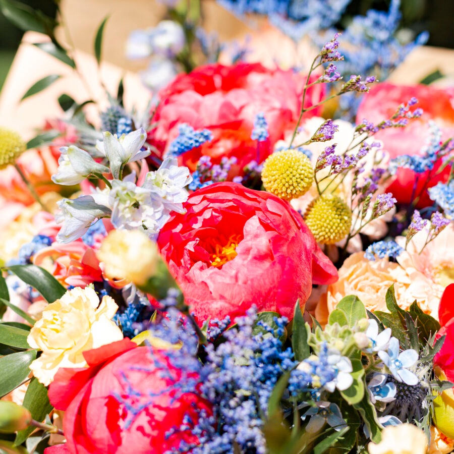 Peonies and Carnations Summer Vibe Bouquet – Colourful Hand-Tied | Bambi