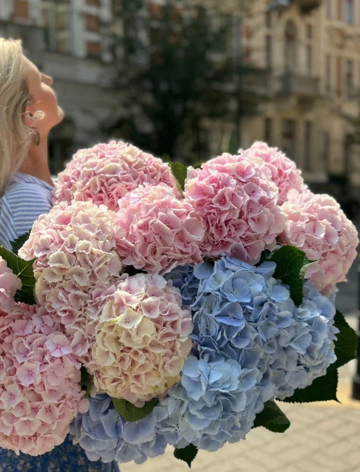 Hydrangea Bouquet – Pastel Pink and Blue Hand-Tied | Bambi