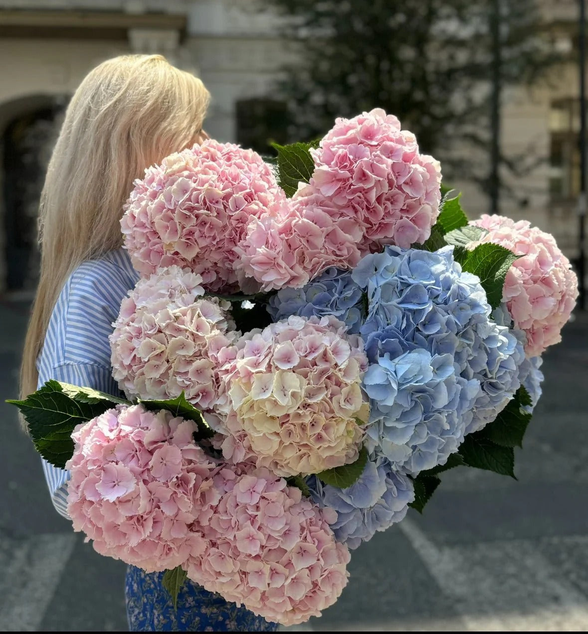 Hydrangea Bouquet – Pastel Pink and Blue Hand-Tied | Bambi
