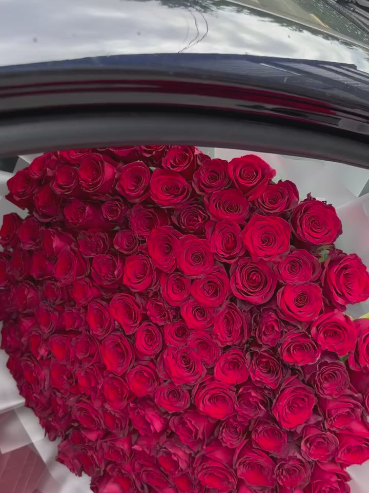 Rose - 200 Luxury Red Roses - Bambi