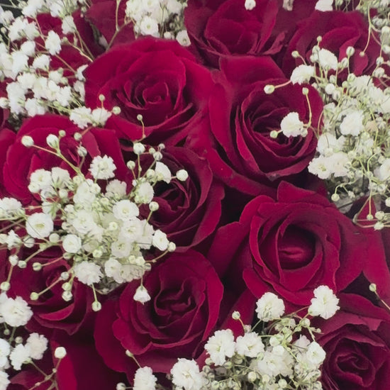 51 red roses and babies breath