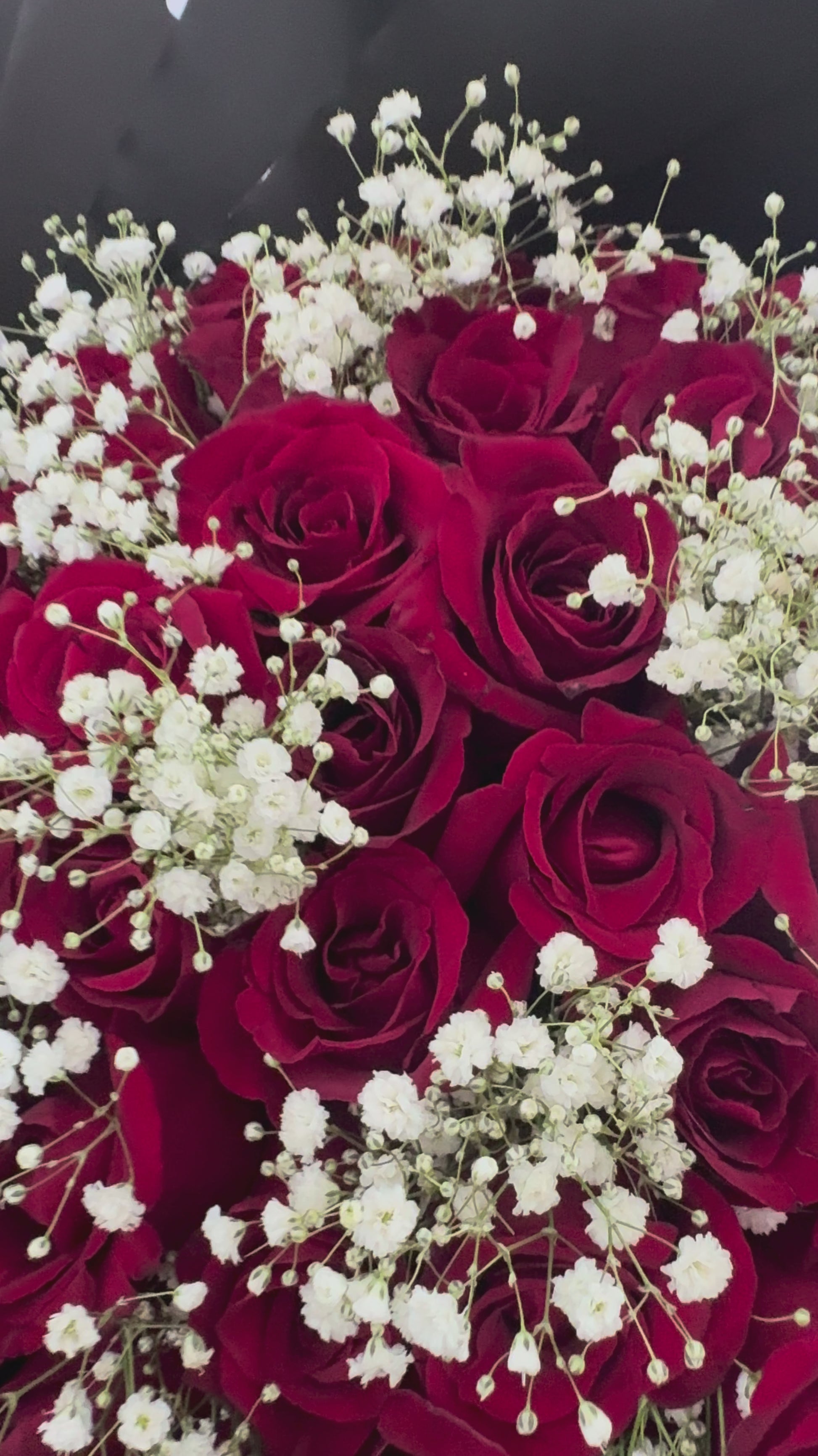 51 red roses and babies breath